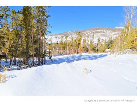 99 Forest Canyon Rd, Dillon, CO 80435 photo 23