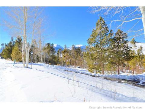 99 Forest Canyon Rd, Dillon, CO 80435 photo 21
