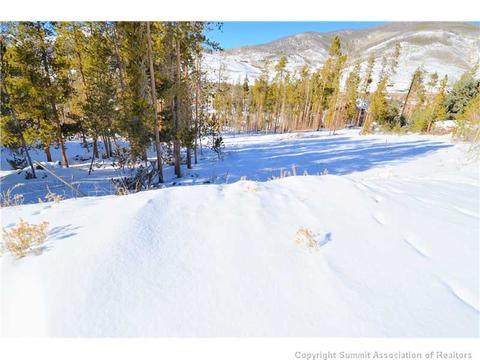 99 Forest Canyon Rd, Dillon, CO 80435 photo 24