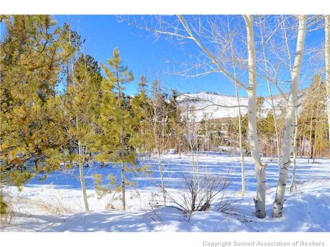 99 Forest Canyon Rd, Dillon, CO 80435 photo 9