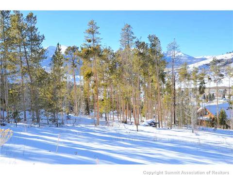 99 Forest Canyon Rd, Dillon, CO 80435 photo 19