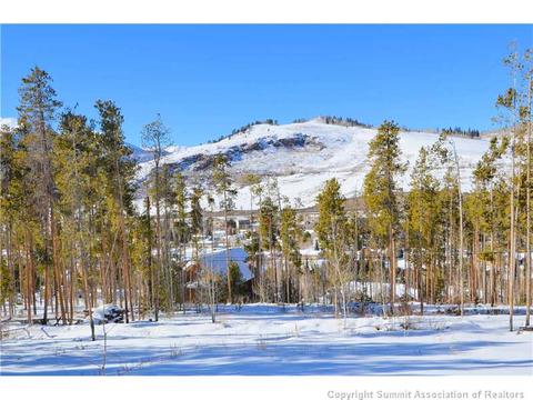 99 Forest Canyon Rd, Dillon, CO 80435 photo 16