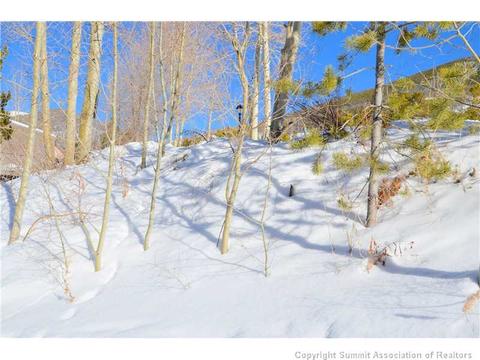 99 Forest Canyon Rd, Dillon, CO 80435 photo 13