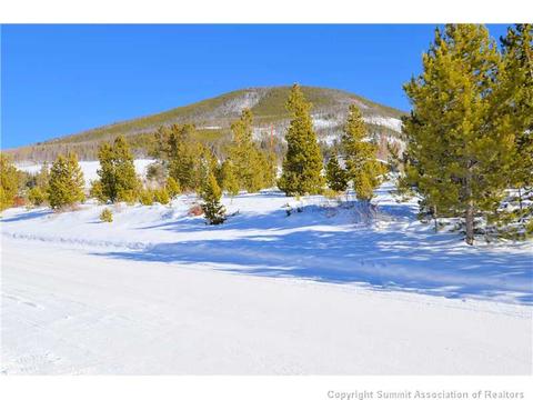 99 Forest Canyon Rd, Dillon, CO 80435 photo 22