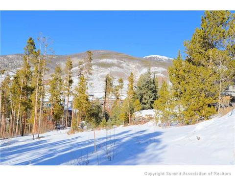 99 Forest Canyon Rd, Dillon, CO 80435 photo 7