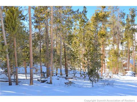 99 Forest Canyon Rd, Dillon, CO 80435 photo 14