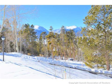 99 Forest Canyon Rd, Dillon, CO 80435 photo 5