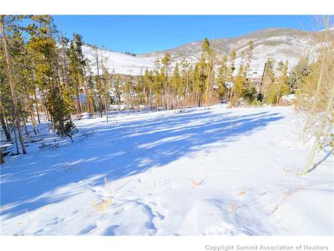 99 Forest Canyon Rd, Dillon, CO 80435 photo 8