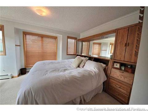 301 Saddle Ridge Dr #301, Silverthorne, CO 80498 photo 11