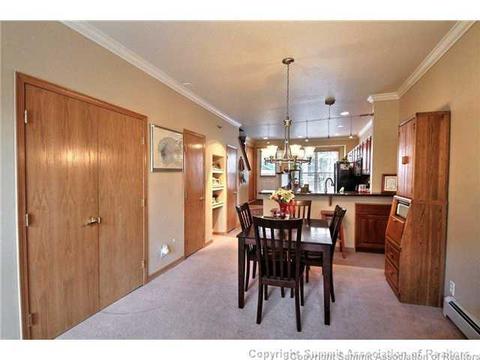 301 Saddle Ridge Dr #301, Silverthorne, CO 80498 photo 5