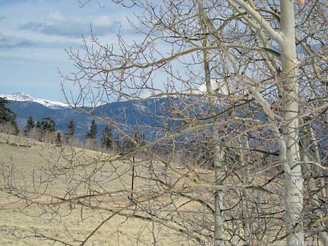 368 Shoshone Dr, Como, CO 80432 photo 3