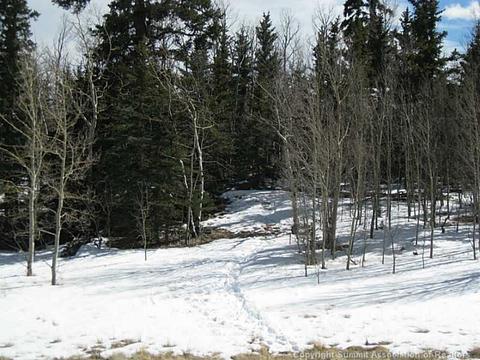 368 Shoshone Dr, Como, CO 80432 photo 5