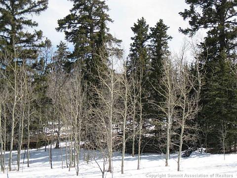 368 Shoshone Dr, Como, CO 80432 photo 13