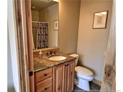 732 Willowbrook Rd, Silverthorne, CO 80498 photo 17
