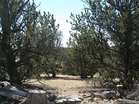 171 Breech Trl, Como, CO 80432 photo 10