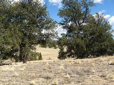171 Breech Trl, Como, CO 80432 photo 7
