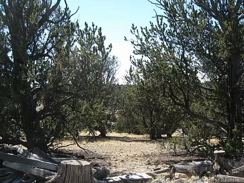 171 Breech Trl, Como, CO 80432 photo 9