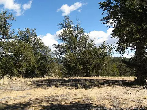 171 Breech Trl, Como, CO 80432 photo 3