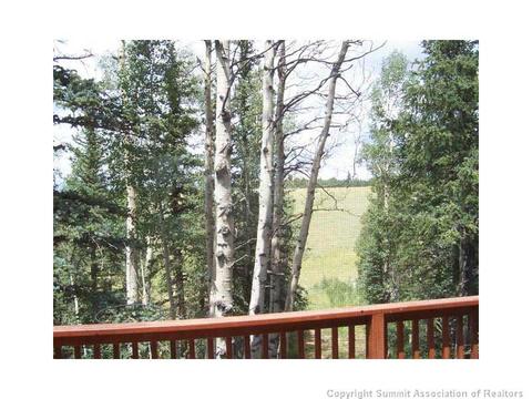 473 Wampum Ln, Como, CO 80432 photo 6