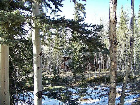 473 Wampum Ln, Como, CO 80432 photo 23