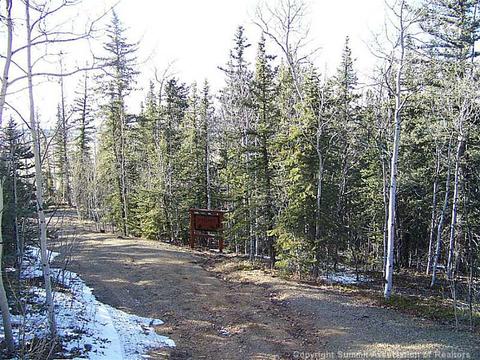 473 Wampum Ln, Como, CO 80432 photo 22