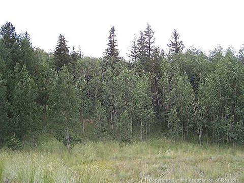 473 Wampum Ln, Como, CO 80432 photo 20