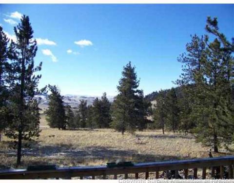 367 Willow Way, Jefferson, CO 80456 photo 11