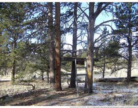 367 Willow Way, Jefferson, CO 80456 photo 10