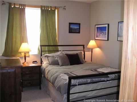 252 N Side Cir, Silverthorne, CO 80498 photo 16