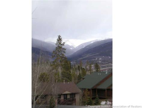 252 N Side Cir, Silverthorne, CO 80498 photo 6