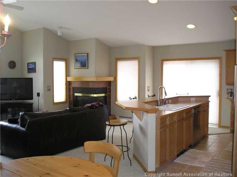 252 N Side Cir, Silverthorne, CO 80498 photo 4