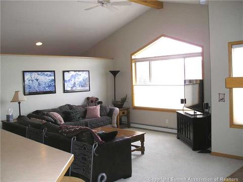252 N Side Cir, Silverthorne, CO 80498 photo 5