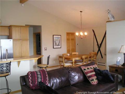 252 N Side Cir, Silverthorne, CO 80498 photo 3