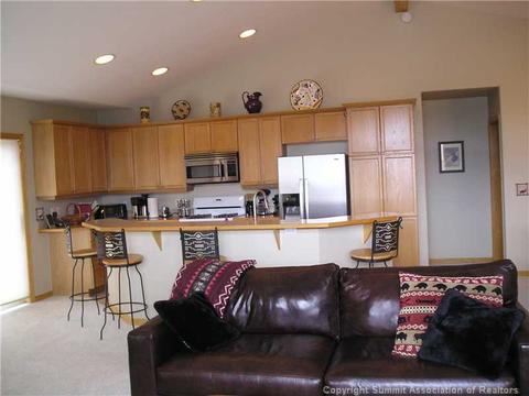 252 N Side Cir, Silverthorne, CO 80498 photo 2