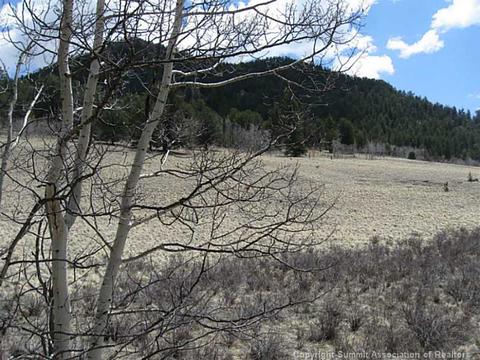 1188 Ouray Trl, Como, CO 80432 photo 1