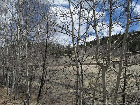 1188 Ouray Trl, Como, CO 80432 photo 3