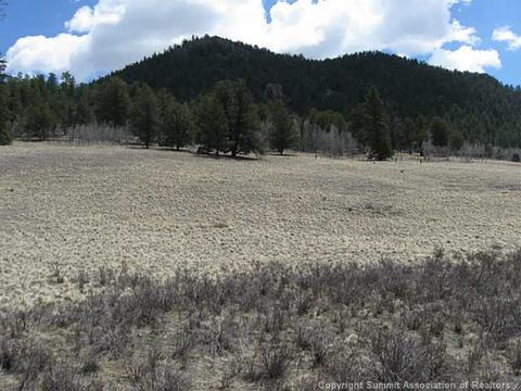 1188 Ouray Trl, Como, CO 80432 photo 2