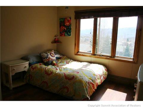 1234 Straight Creek Dr, Dillon, CO 80435 photo 22