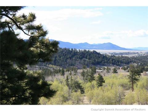 966 Ute Trl, Como, CO 80432 photo 5