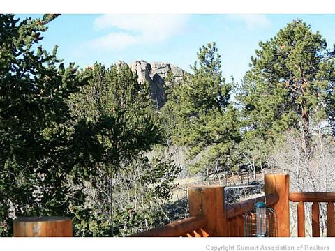 966 Ute Trl, Como, CO 80432 photo 13