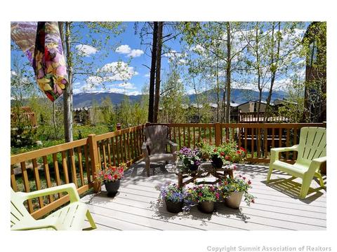 405 Saddle Ridge Dr #405, Silverthorne, CO 80498 photo 13