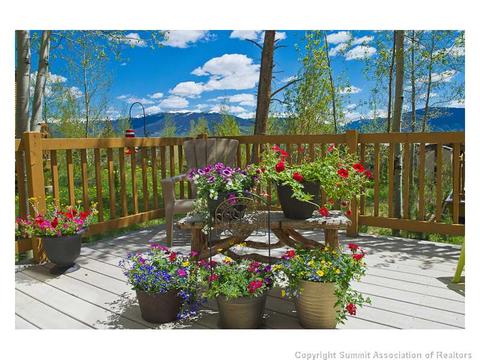405 Saddle Ridge Dr #405, Silverthorne, CO 80498 photo 2