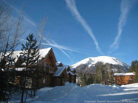 24 Solomons Ln, Silverthorne, CO 80498 photo 2