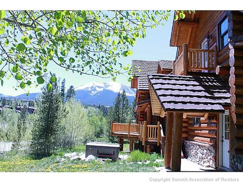 24 Solomons Ln, Silverthorne, CO 80498 photo 3