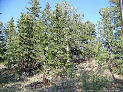 292 Chippewa Ln, Como, CO 80432 photo 18