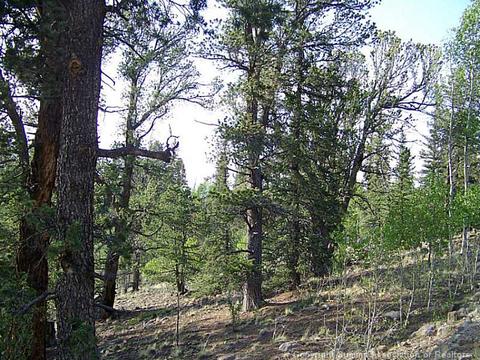 292 Chippewa Ln, Como, CO 80432 photo 10