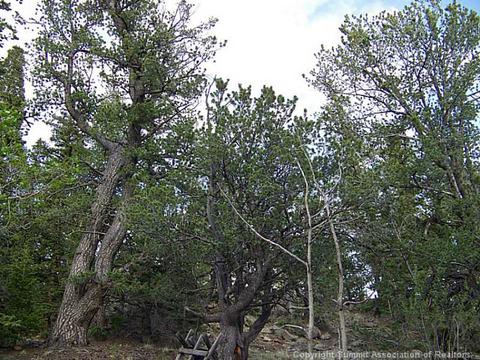 292 Chippewa Ln, Como, CO 80432 photo 7