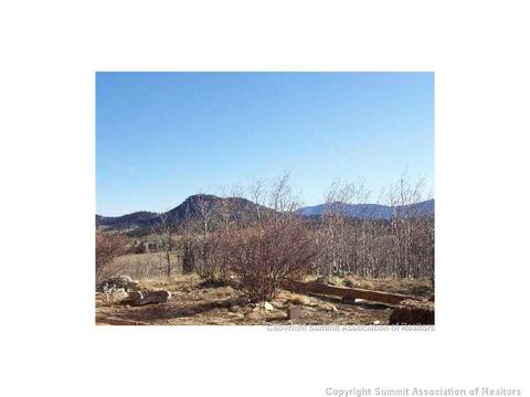111 Antelope Way, Como, CO 80432 photo 1