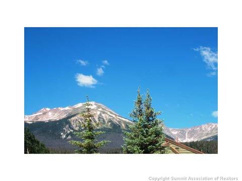 1574 Chipmunk Ln, Silverthorne, CO 80498 photo 5