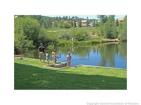 1574 Chipmunk Ln, Silverthorne, CO 80498 photo 7